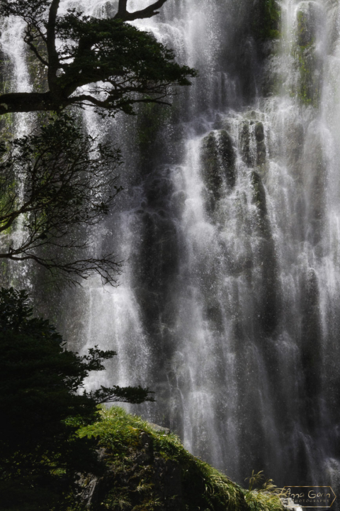 Devils Punchbowl Falls, South Island, New Zealand