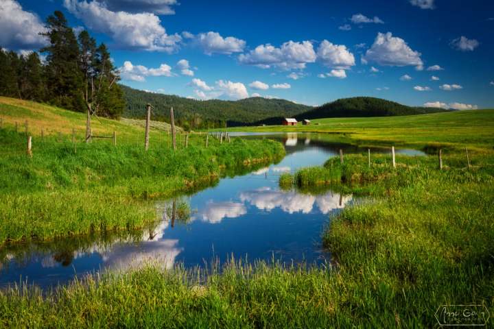 Lake Fork, McCall, Idaho