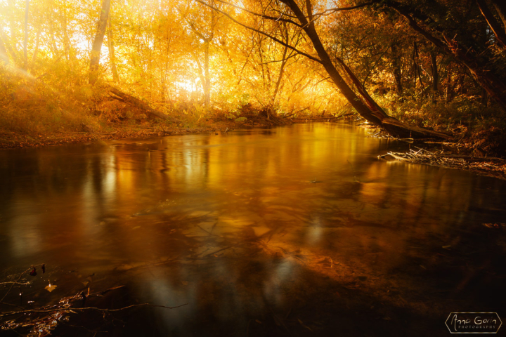 Veterans Memorial Park, Boise, Idaho