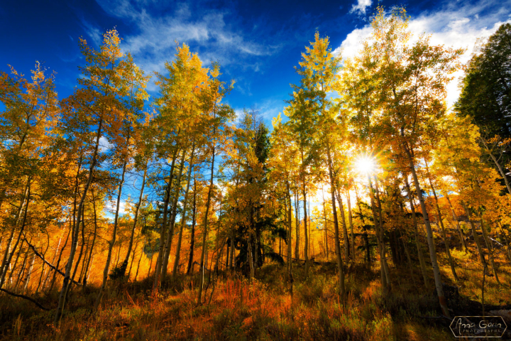 Alpine Way trail, Stanley, Idaho
