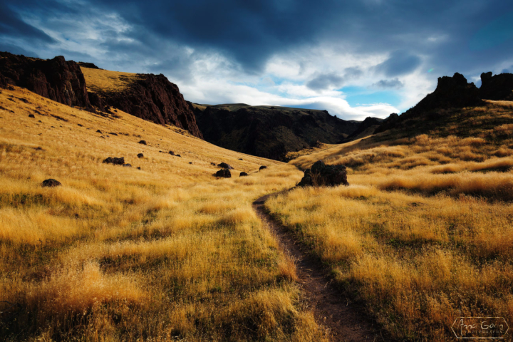 Reynolds Creek, Owyhee Mountains, Idaho