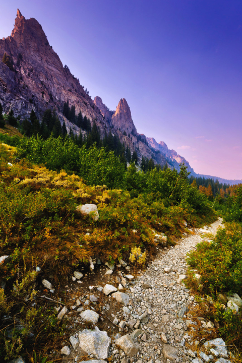 Alice Lake trail, Stanley, Idaho