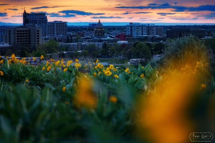 Boise Idaho downtown skyline, Military Reserve Park