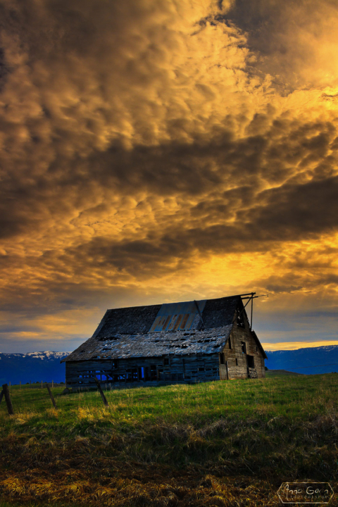 Old barn, Donnelly, Idaho