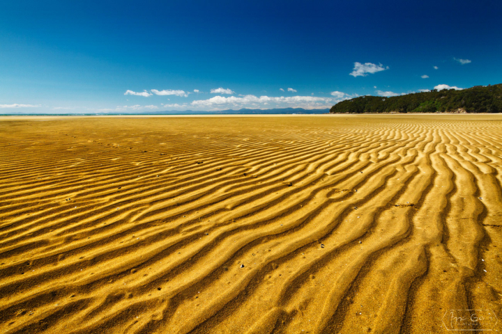 Abel Tasman National Park, South Island, New Zealand