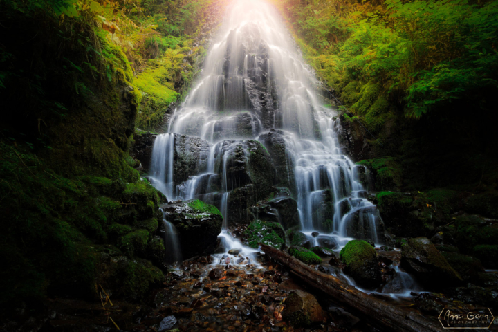 Fairy Falls, Columbia River Gorge, Oregon