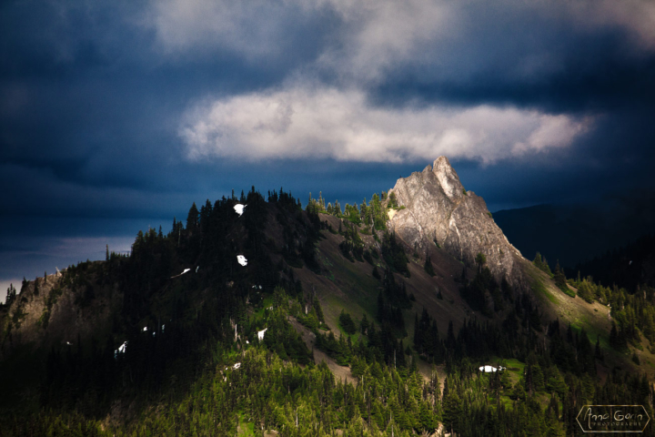 Hurricane Ridge, Olympic National Park, Washington