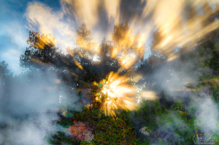 Yellowstone National Park, Wyoming