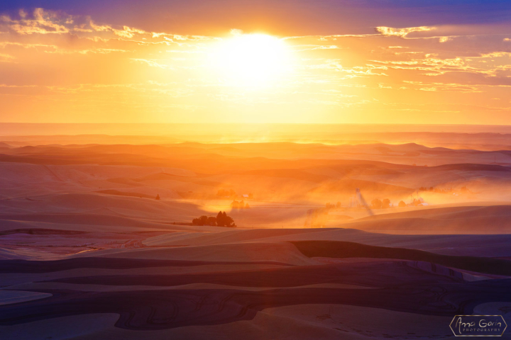 Palouse countryside, Steptoe Butte State Park, Washington