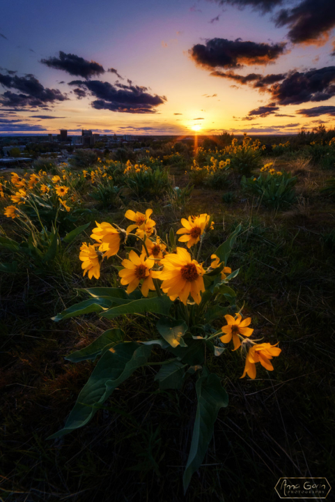 Military Reserve Park, Boise, Idaho