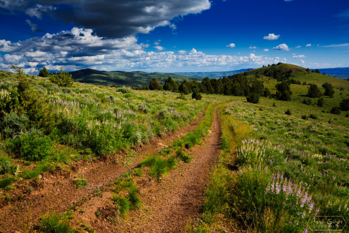 Owyhee Mountains, Idaho