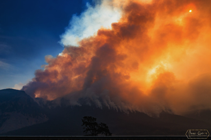 Eagle Creek fire, Oregon