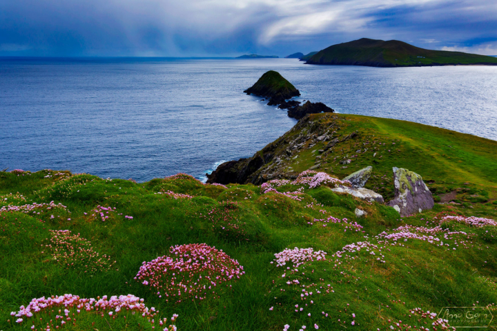 Slea Head, Dingle Peninsula, Ireland