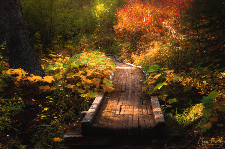 Alice Lake trail, Sawtooth Mountains, Idaho