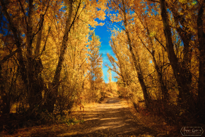 Cottonwood Creek, Military Reserve Park, Idaho