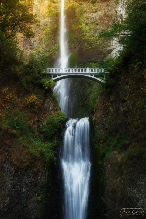 Multnomah Falls, Oregon