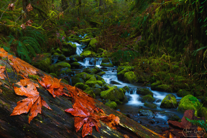 Eagle Creek, Oregon