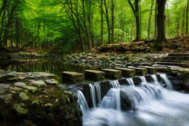 Tollymore Forest Park, Northern Ireland