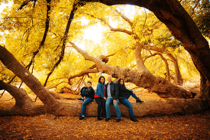 Family of four with two teenage kids sits on giant log for family photoshoot in Boise